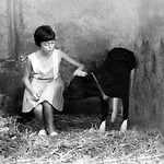 Hébergement de vacances Il Piccolo Casale 1950 Fabriano
