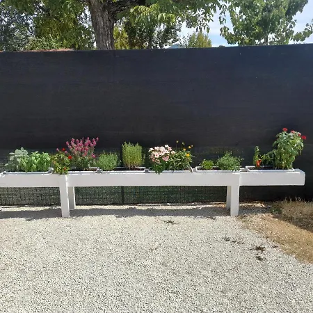 בית נופש Il Piccolo Casale 1950