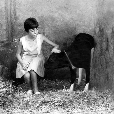 Feriehus Il Piccolo Casale 1950 Fabriano