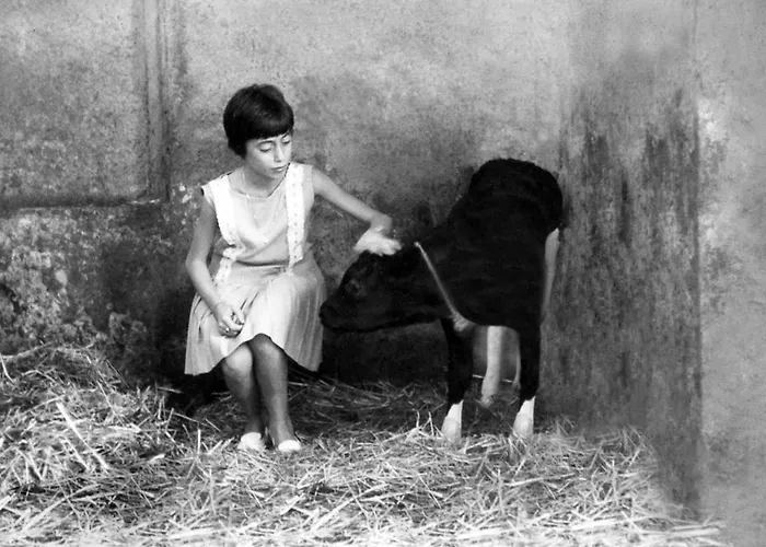 펜션 Il Piccolo Casale 1950 파브리아노
